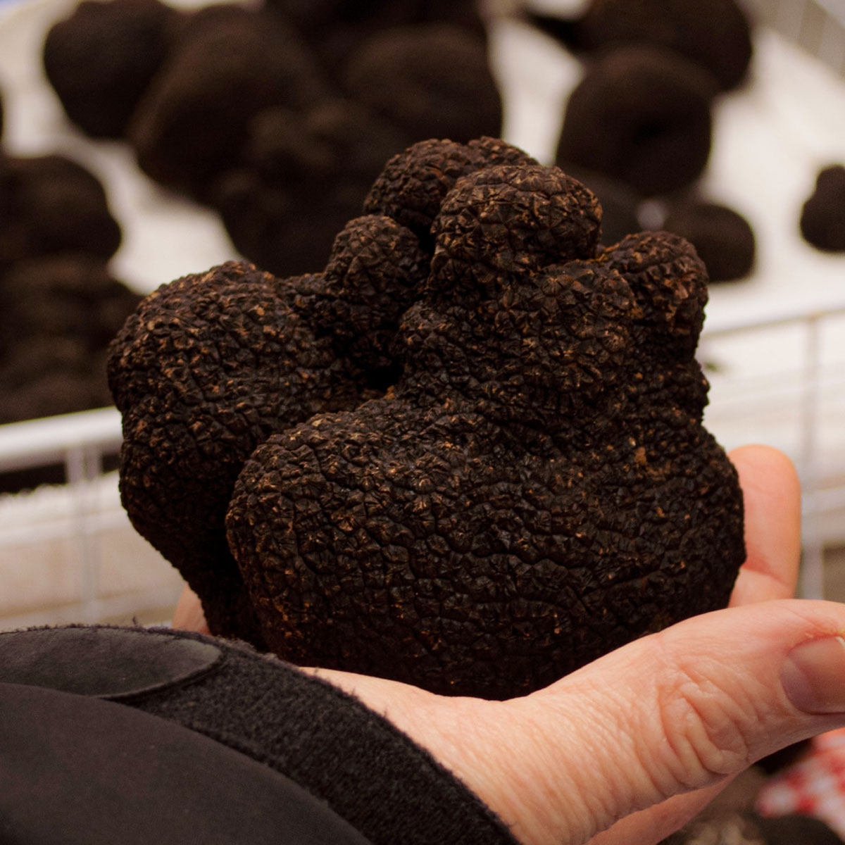 Millgrove Truffles - extra large truffle