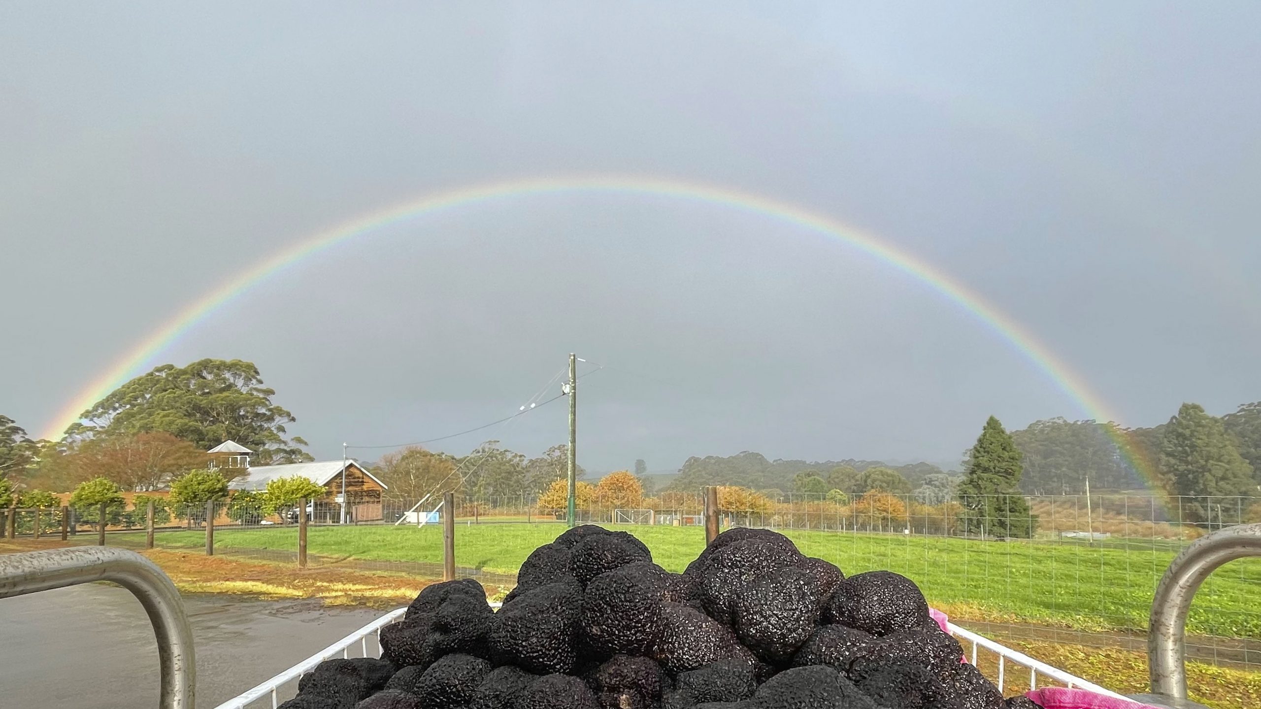 A photo of a rainbow and truffles at Millgrove Truffles